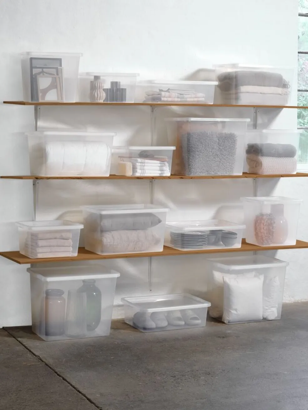 BASIC BOXCaja BASIC BOX 52L con tapa transparente