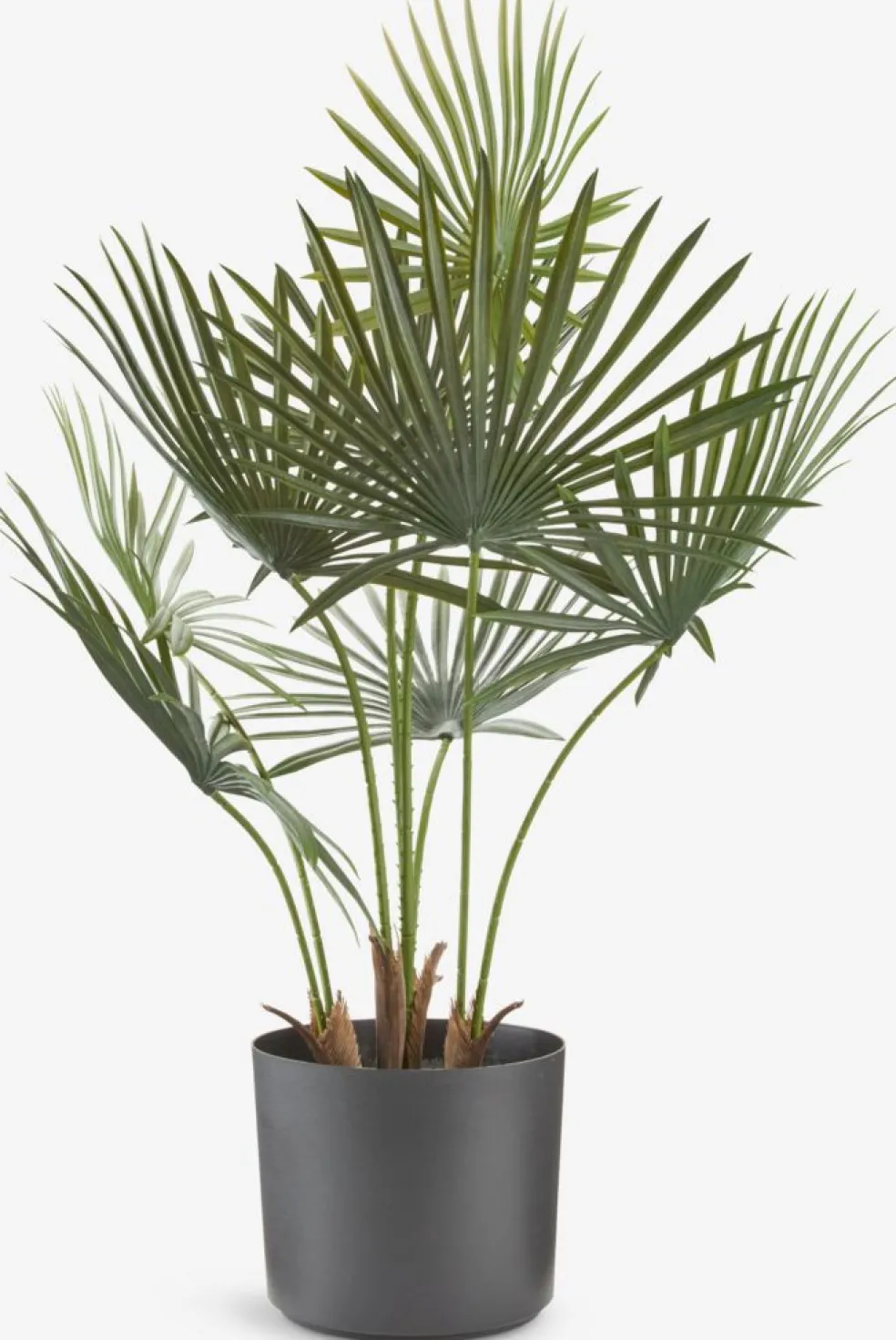 JAKOBPlanta artificial JAKOB A73cm verde